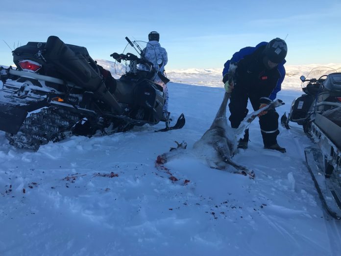 OBS! SPERREFRIST FOR PUBLISERING KL. 18.30 11.01.2018