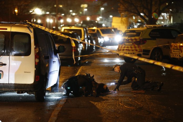 Politi i Martin Linges Vei