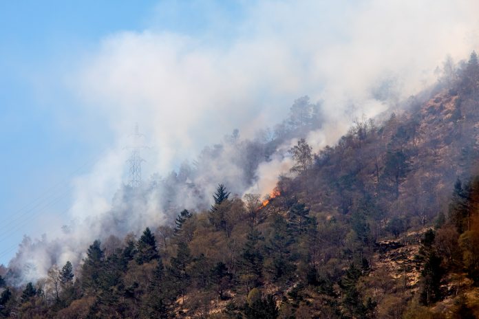 Brann i terrenget på Løvstakken