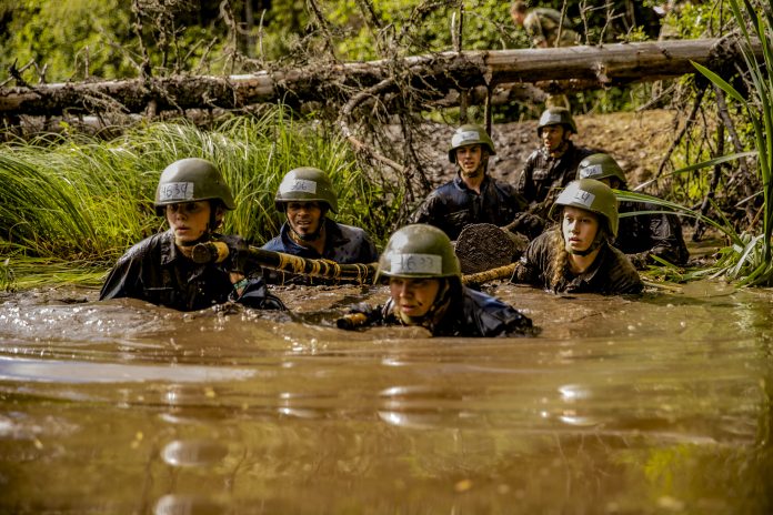 Forsvarets opptak og seleksjon