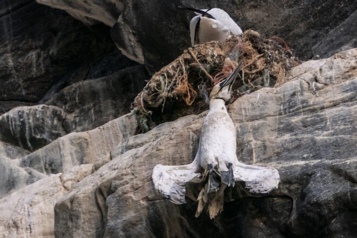 Valgkamp på Vestlandet
