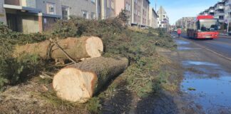 Slik ser det ut i Langbølgen på Lambertseter, der kommunen skal bygge sykkelvei. Foto: Privat